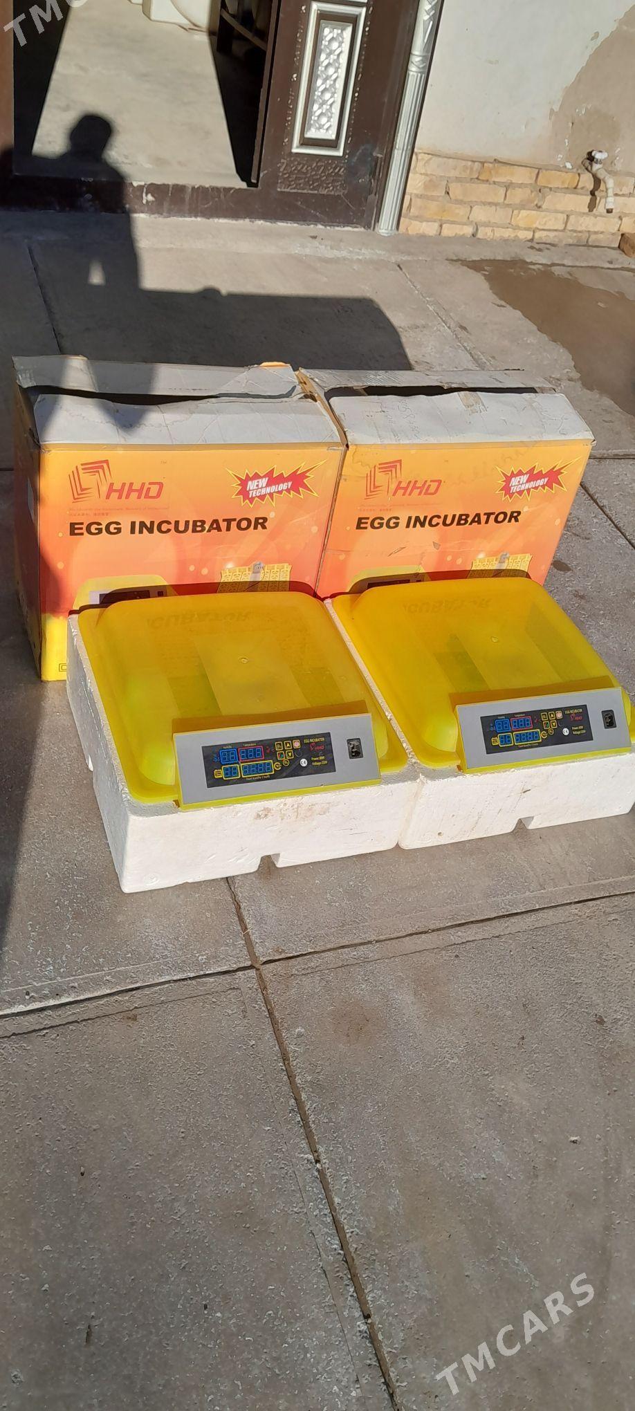 инкибатор - Akdepe - img 1