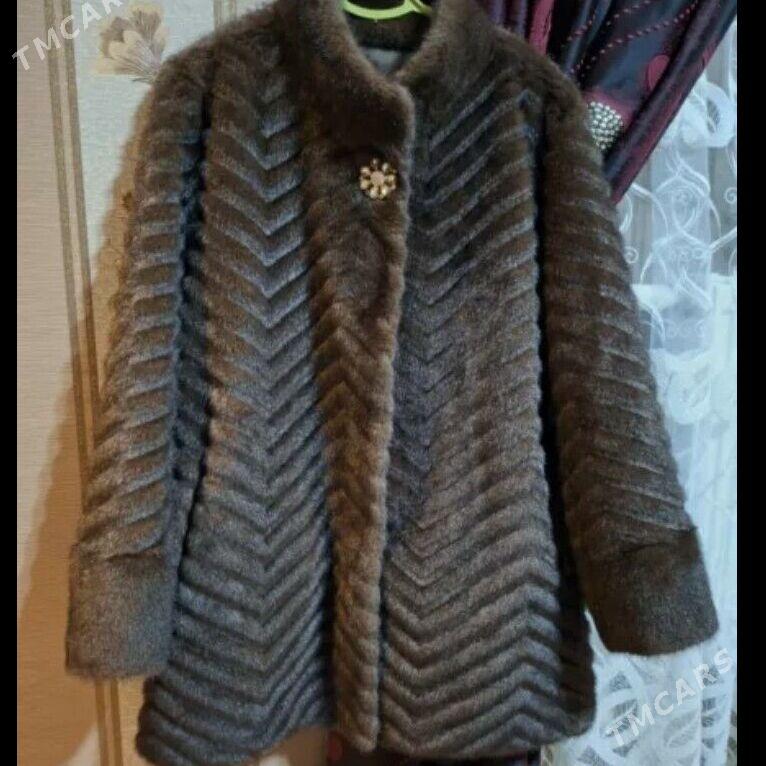 Şuba - Gumdag - img 1