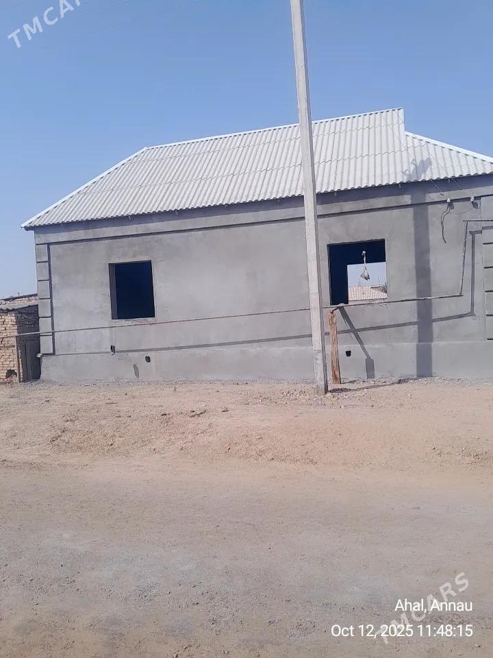 jaÿ tejen - Tejen - img 1