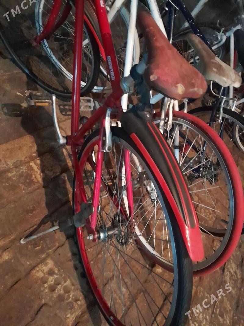 Weleseped 700 lik - Sakarçäge - img 1