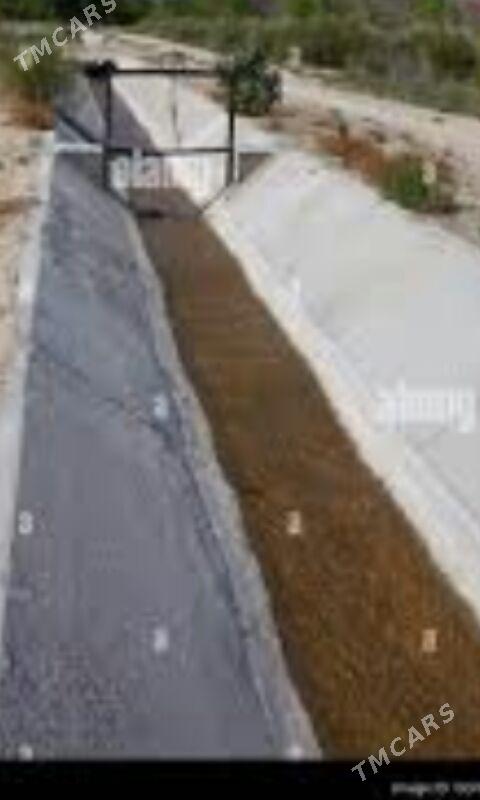 ussa - Мары - img 1