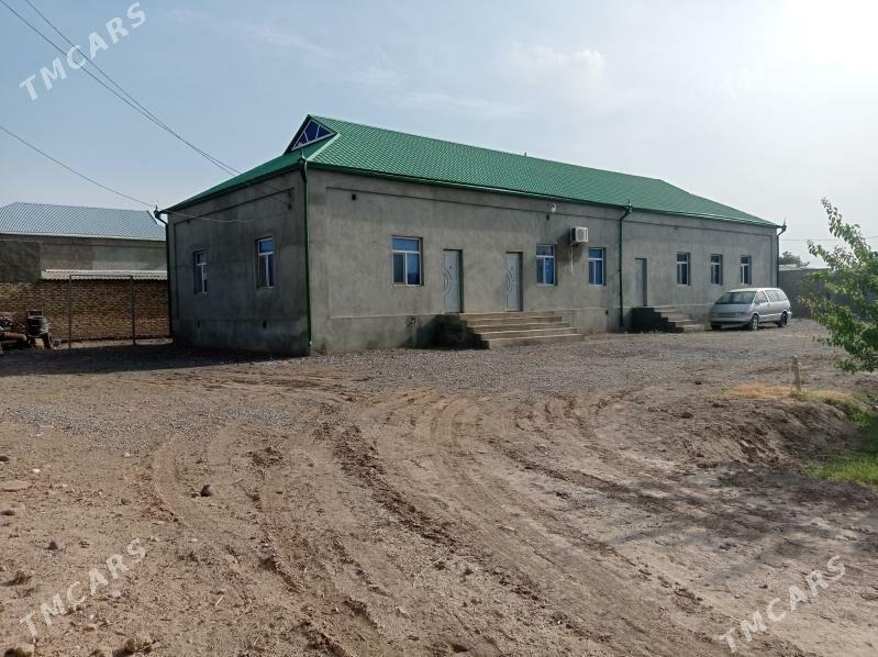 satlyk jay - Мары - img 1