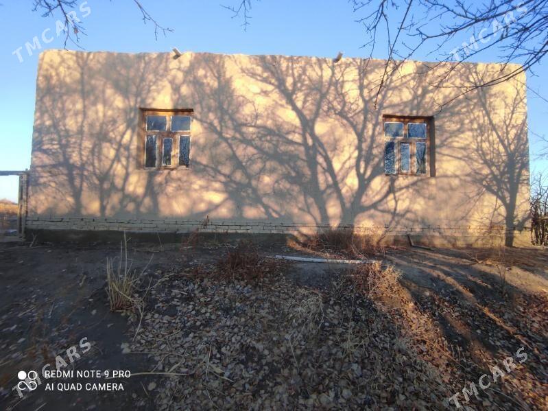 jay - Кёнеургенч - img 1