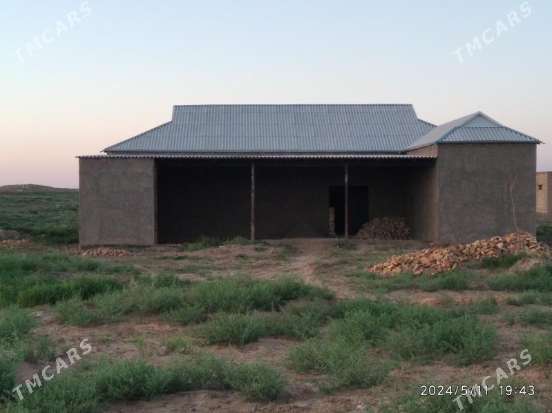 Bolsewik jay - Ýolöten - img 1