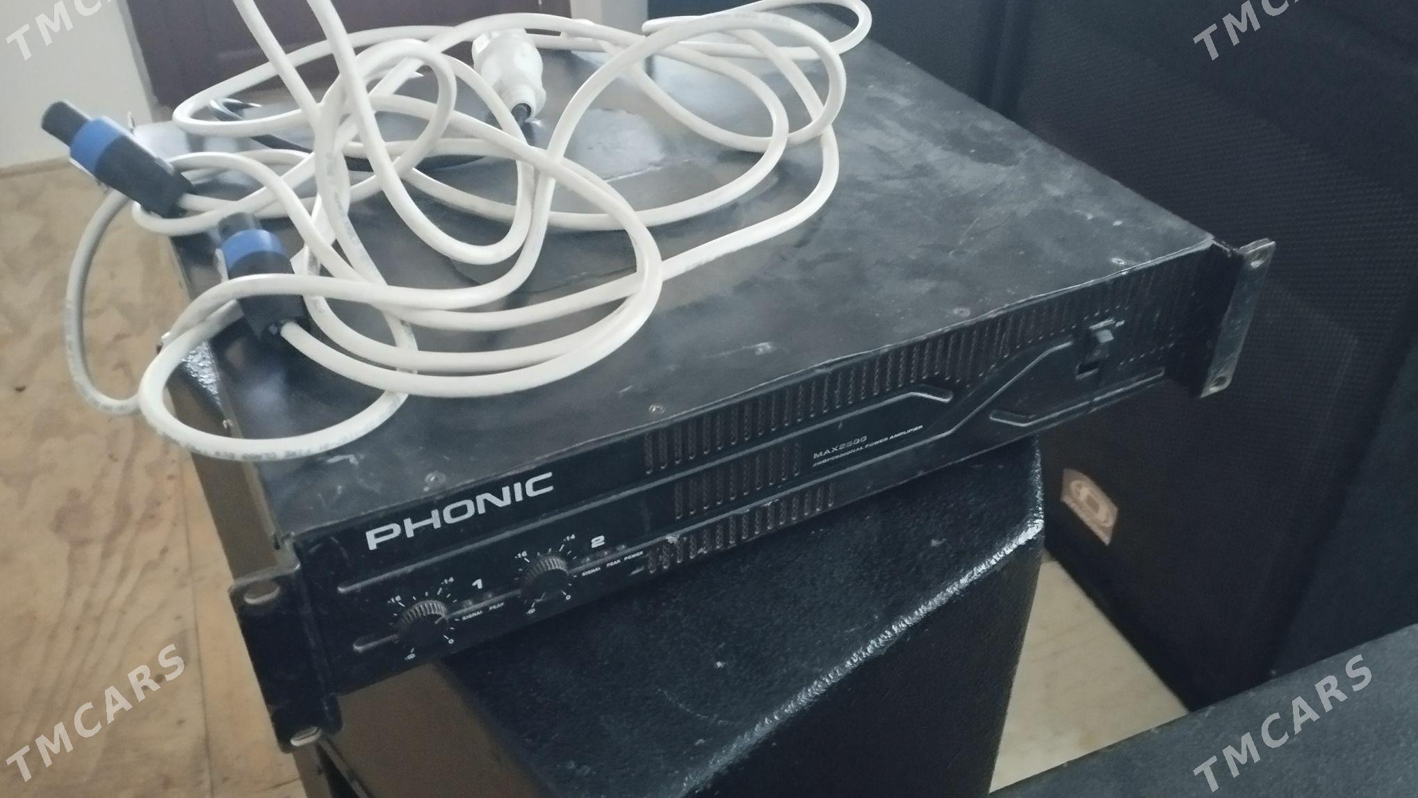 ponik kanes - Mary - img 1