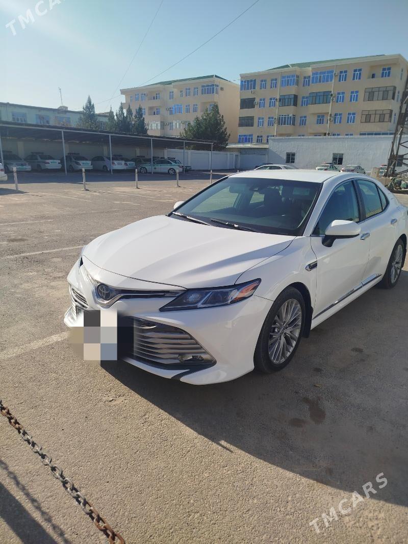 Toyota Camry 2019 - 310 000 TMT - Sakarçäge - img 1