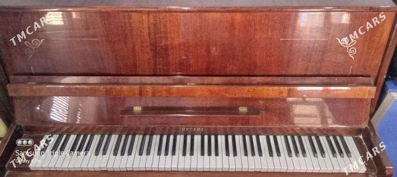 Pianina - Garadamak Şor - img 1