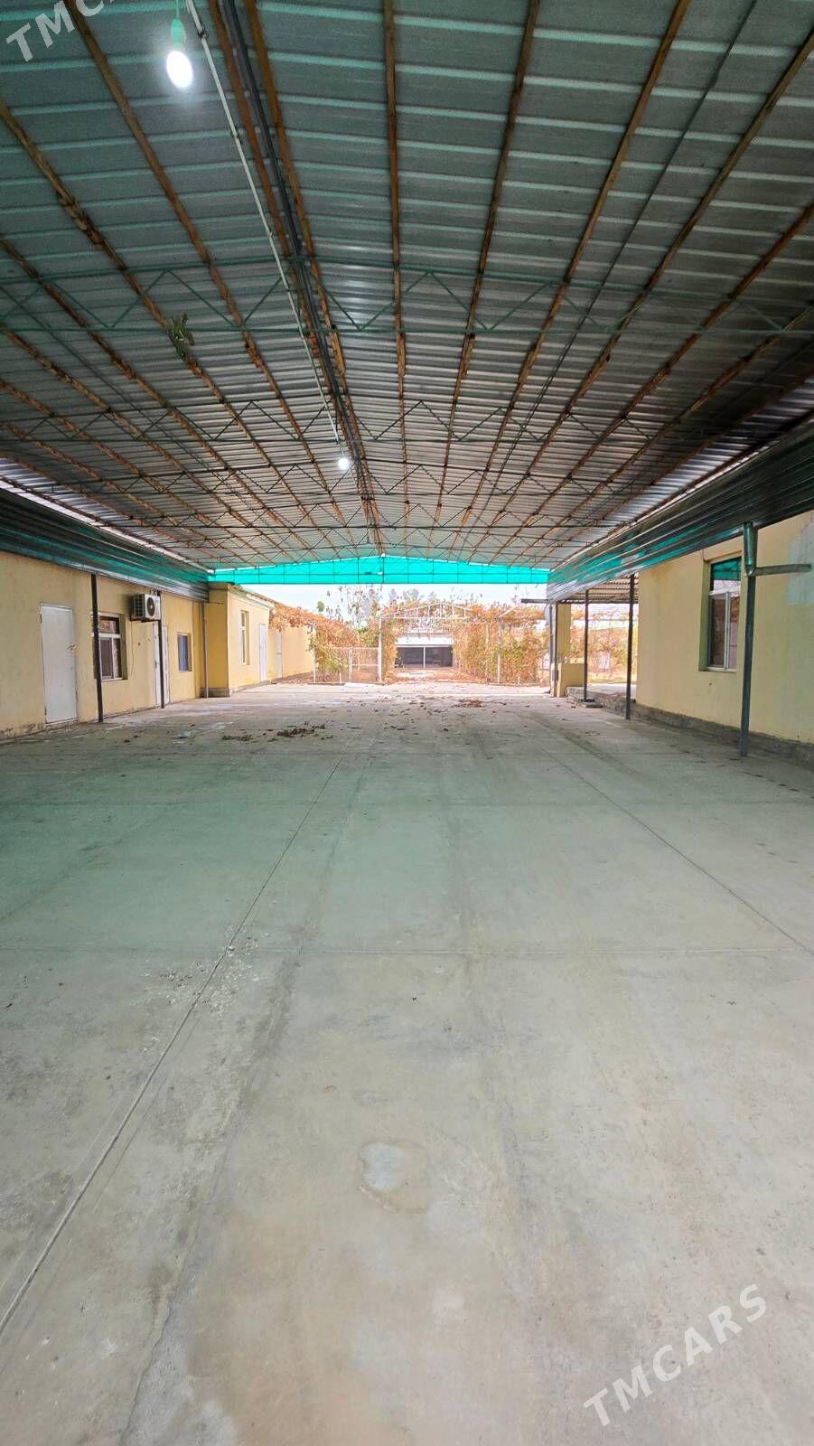 Änew-Magtymguly - Анев - img 1