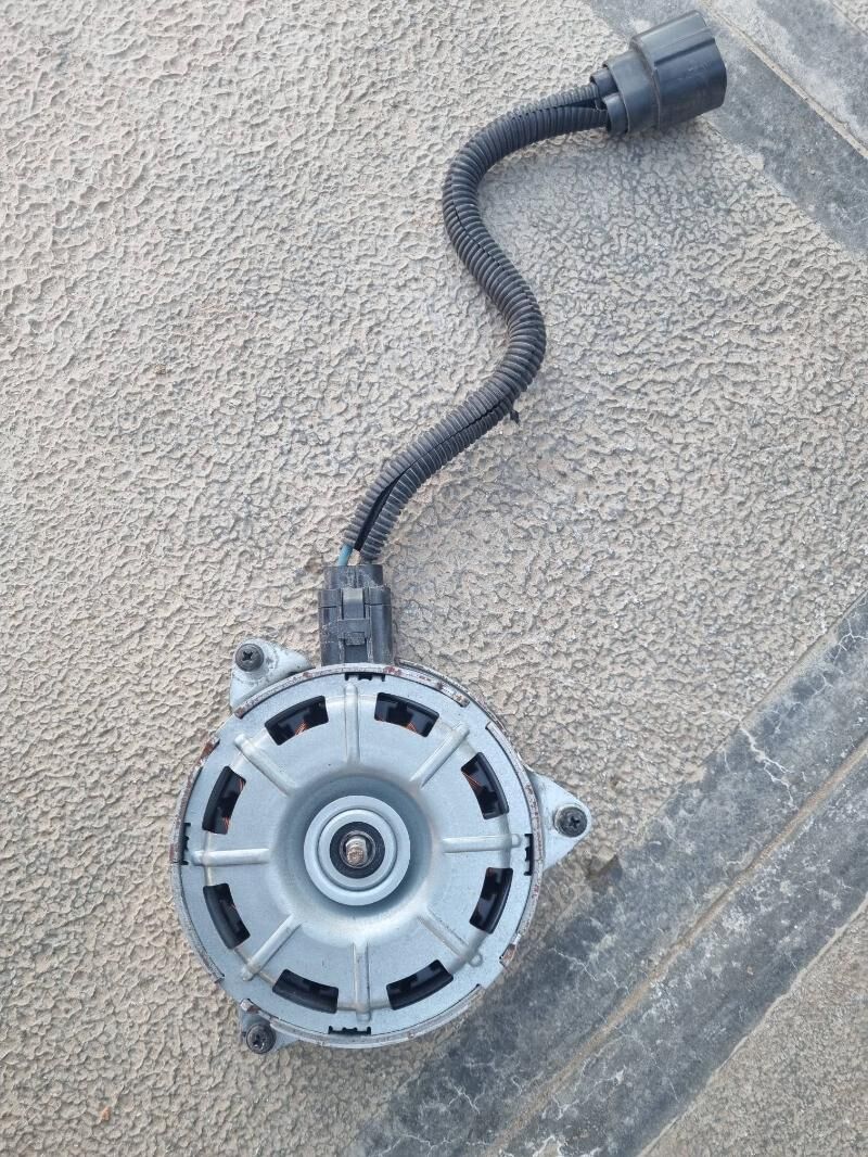 morda 600 TMT - Tejen - img 1