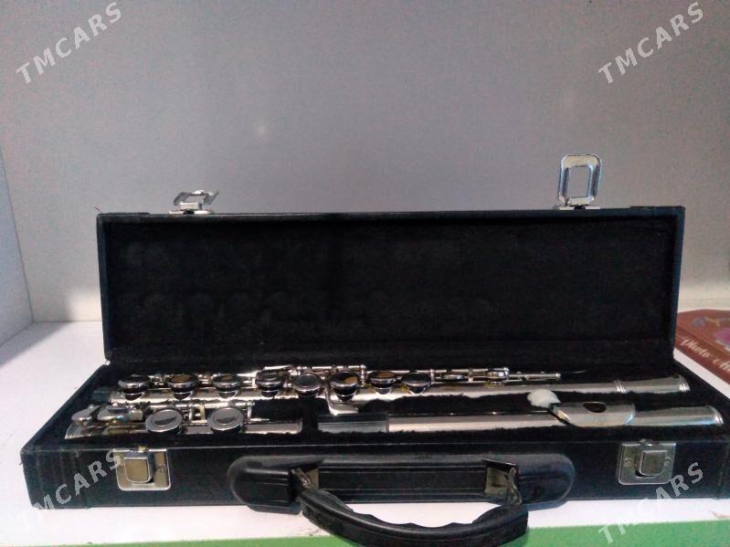 Fleyta - Kerki - img 1