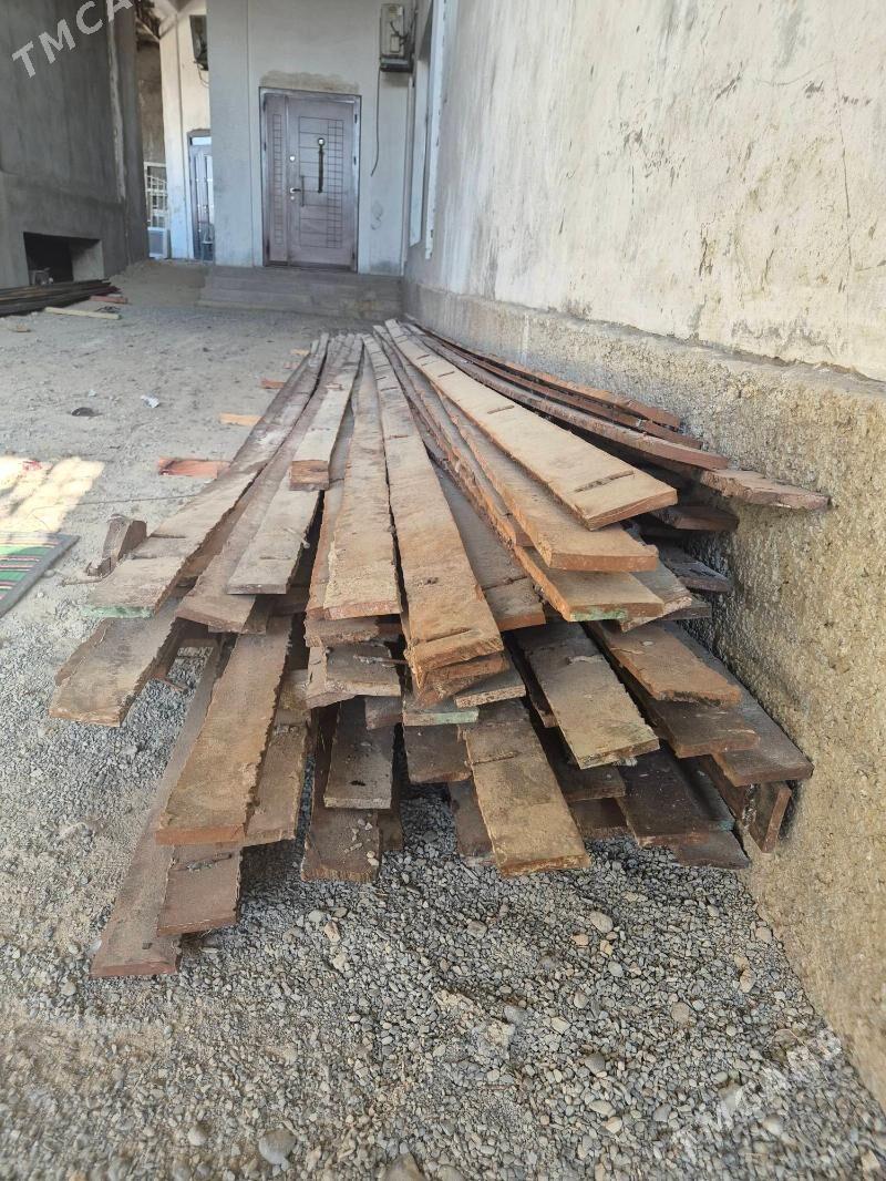 Pacak - Änew - img 1