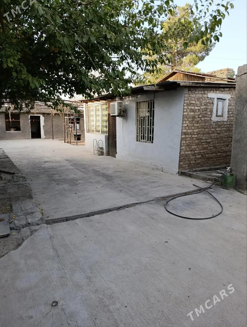 Buzmeyin Kruk - Бузмеин - img 1