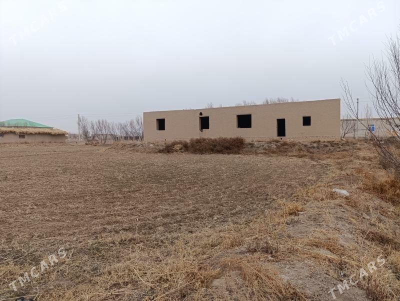 Mellek jay 32-sotok - Görogly (Tagta) - img 1