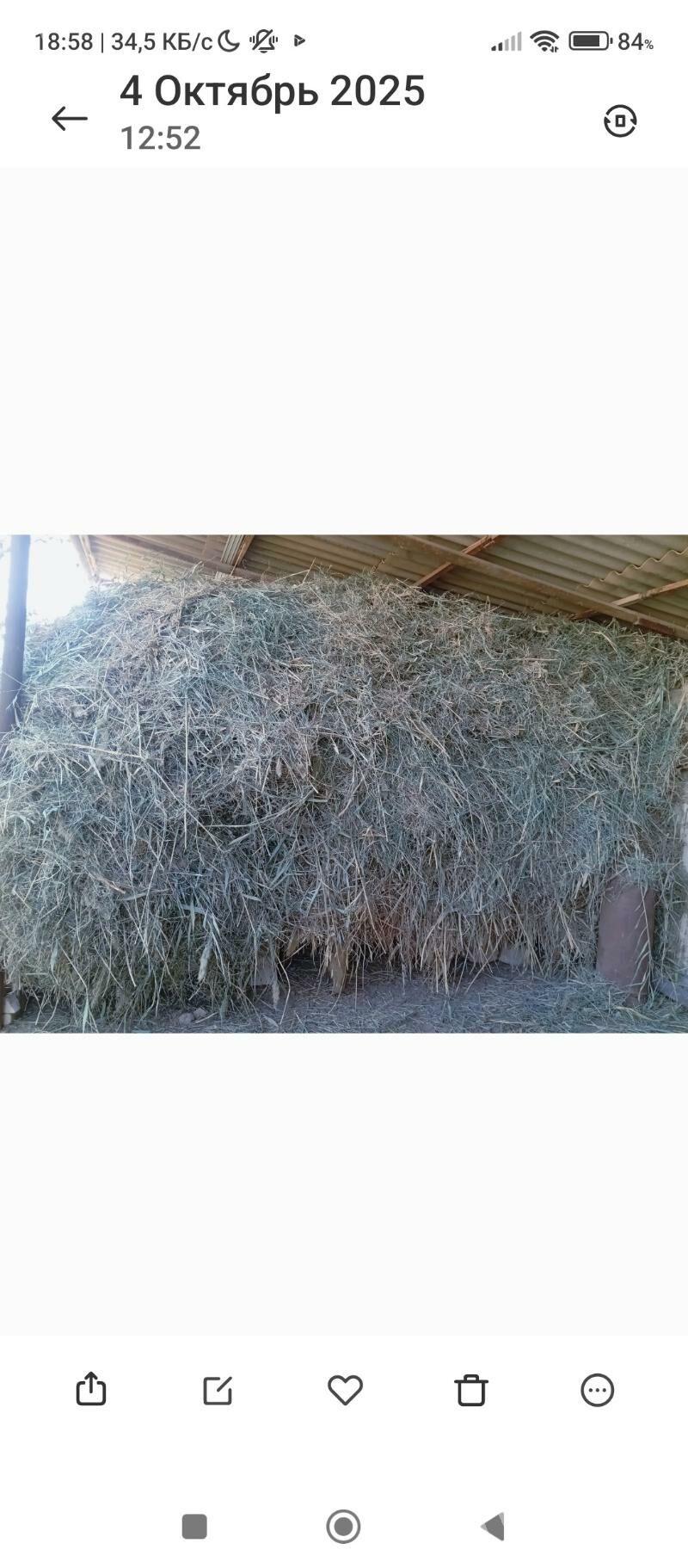 MAL oty - Мары - img 1