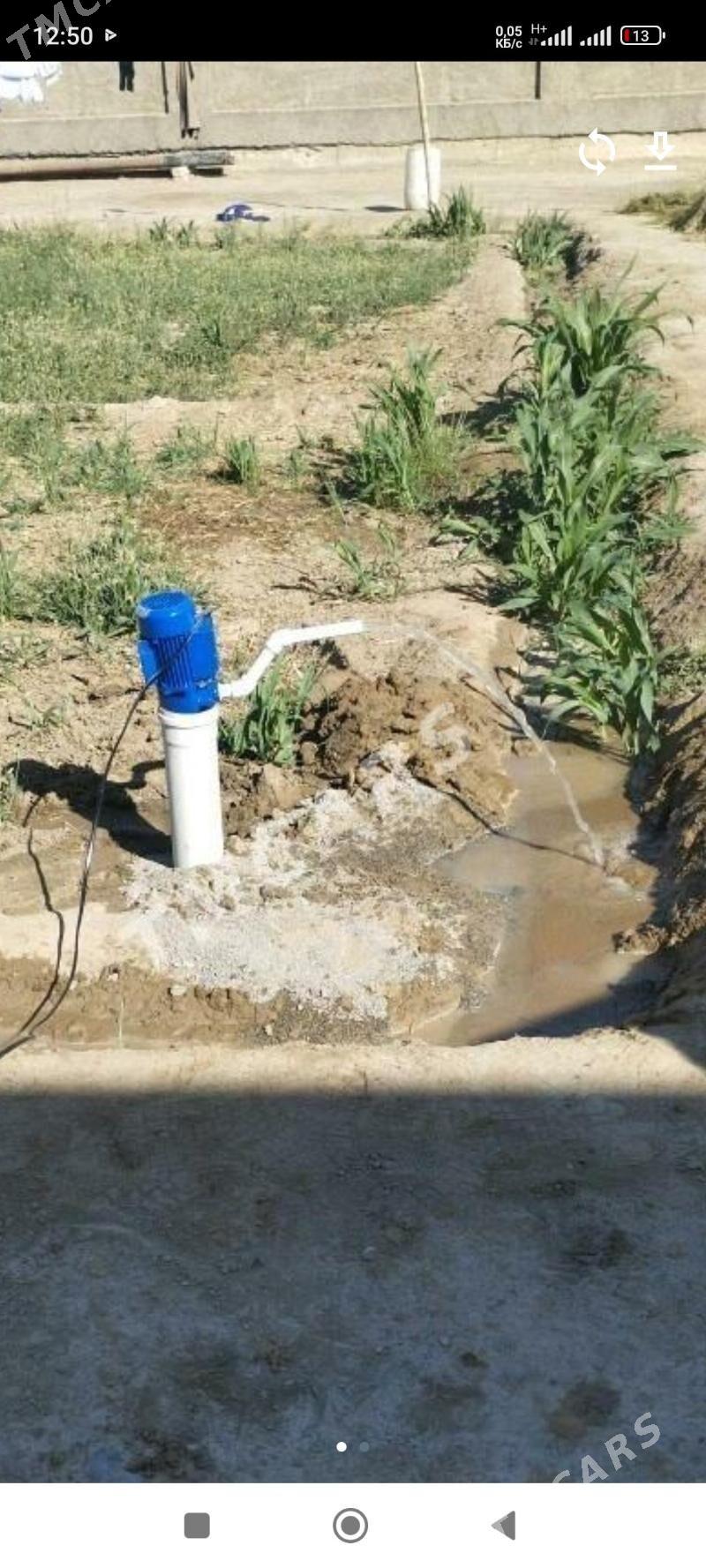 Ğuýçy - Векильбазар - img 1