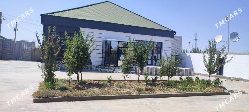 Anew plan jay - Änew - img 1