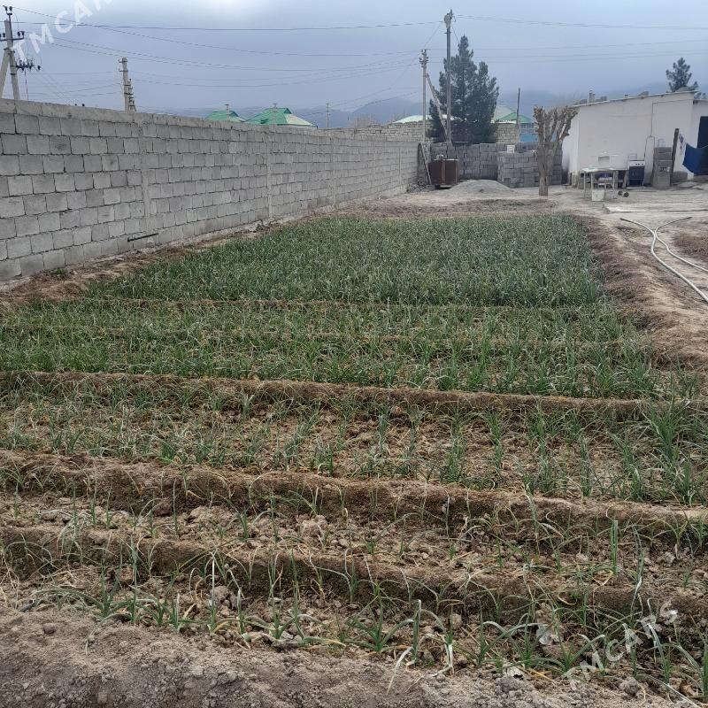 satlyk mellek jay - Багир - img 1