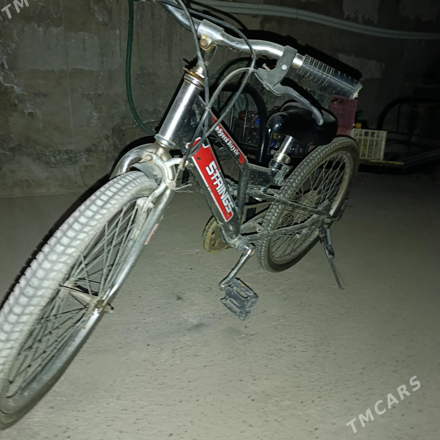 WELİSOPED TİGİR - Туркменабат - img 1