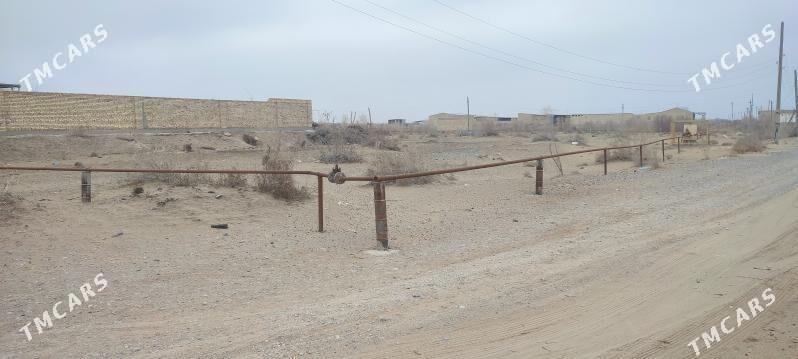 mellek - Саят - img 1