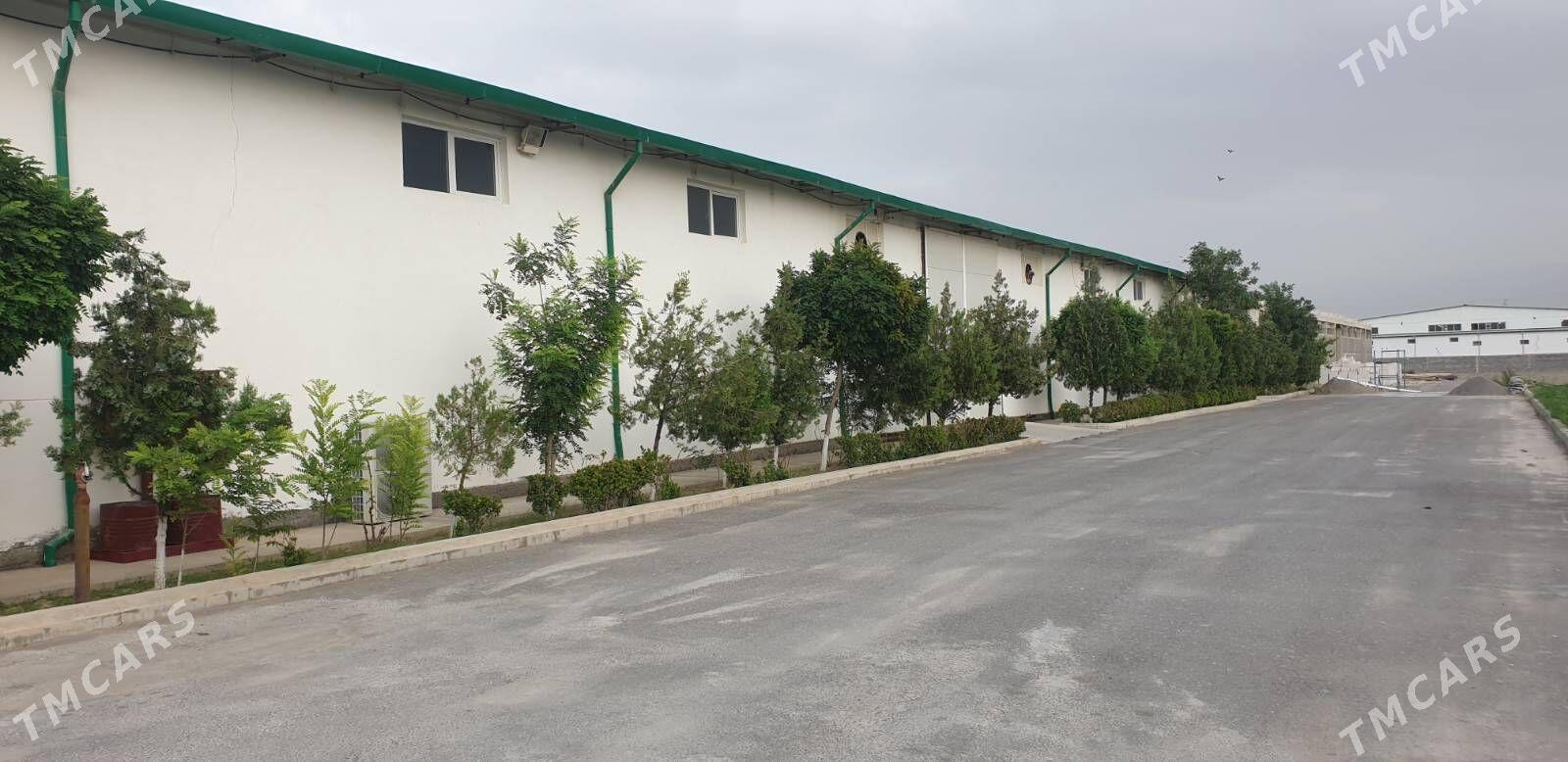 Satlyk Himya Zawod - Ашхабад - img 1