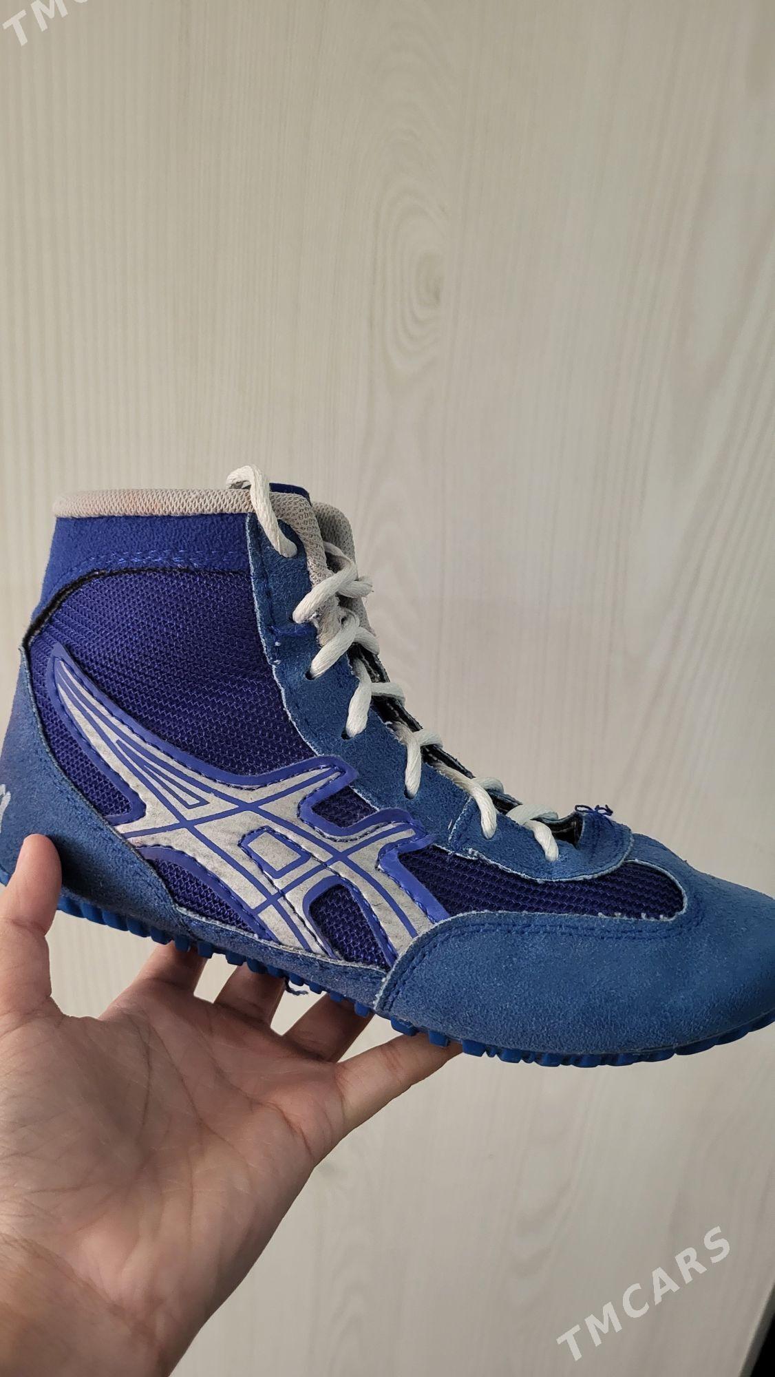 Барцовки,Barsowka - Балканабат - img 1