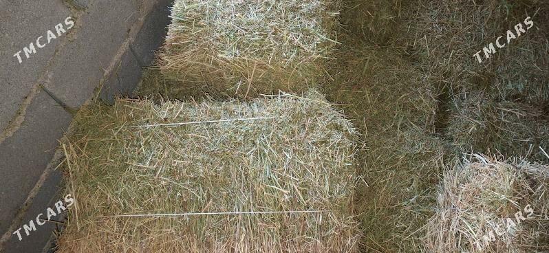 yorunja bede - Кака - img 1