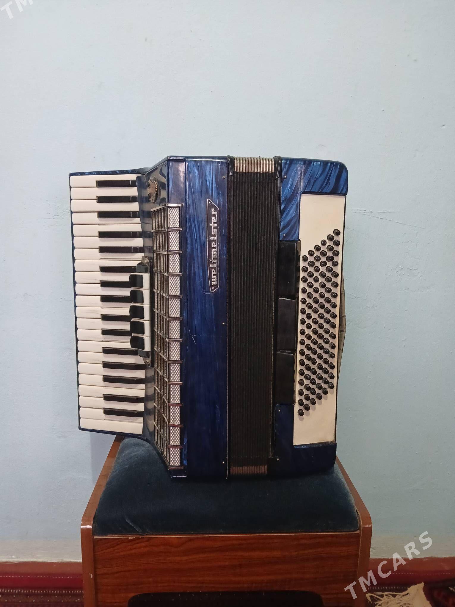 Akardeon woltmestir - Керки - img 1