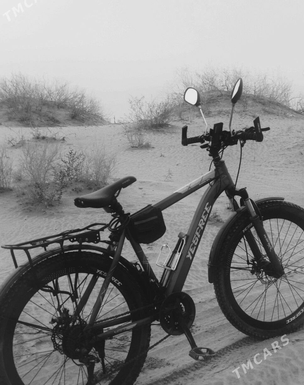 welik skarsnoý - Дарганата - img 1