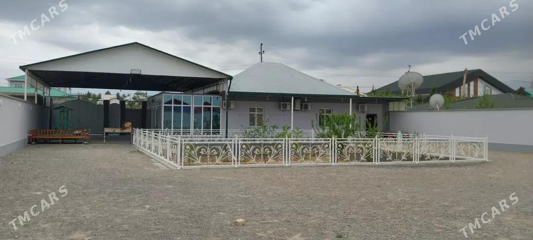 Satlyk plan - Änew - img 1