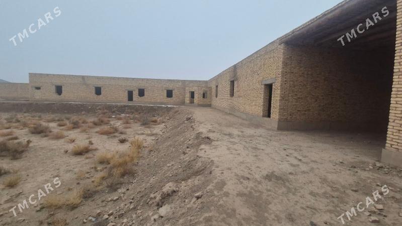 satlyk Jay - Gubadag - img 1