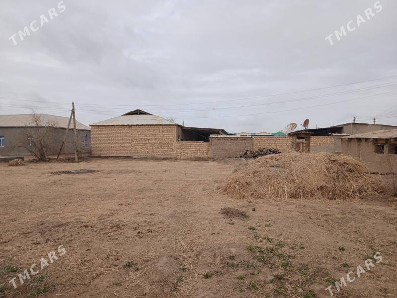 jay yer - Ёлётен - img 1