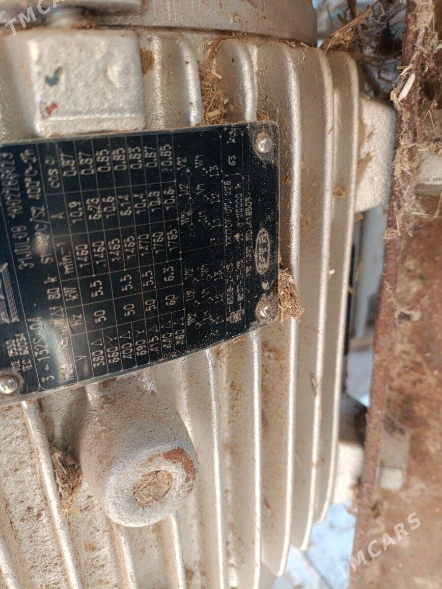 Ot uweyan aparat - Murgap - img 1