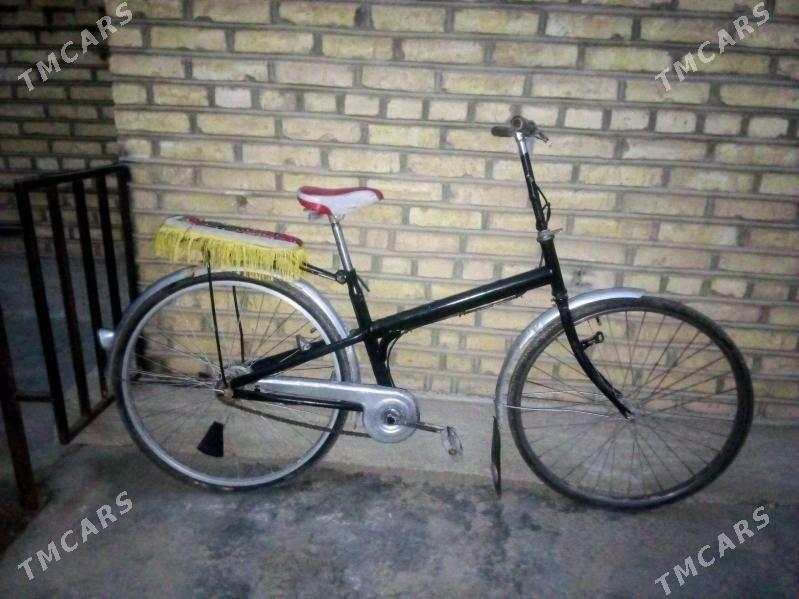 Tigir 26lyk - Mary - img 1