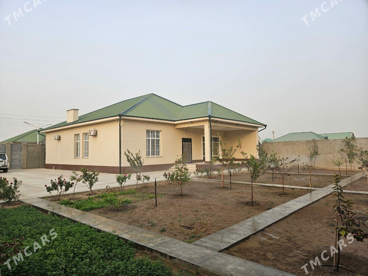 Anew Magtymguly plan jay - Анев - img 1