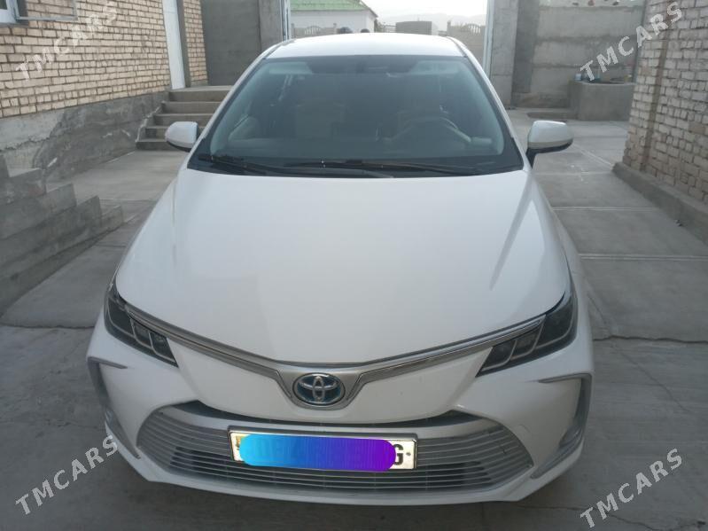 Toyota Corolla Hybrid 2022 - 230 000 TMT - Büzmeýin - img 1