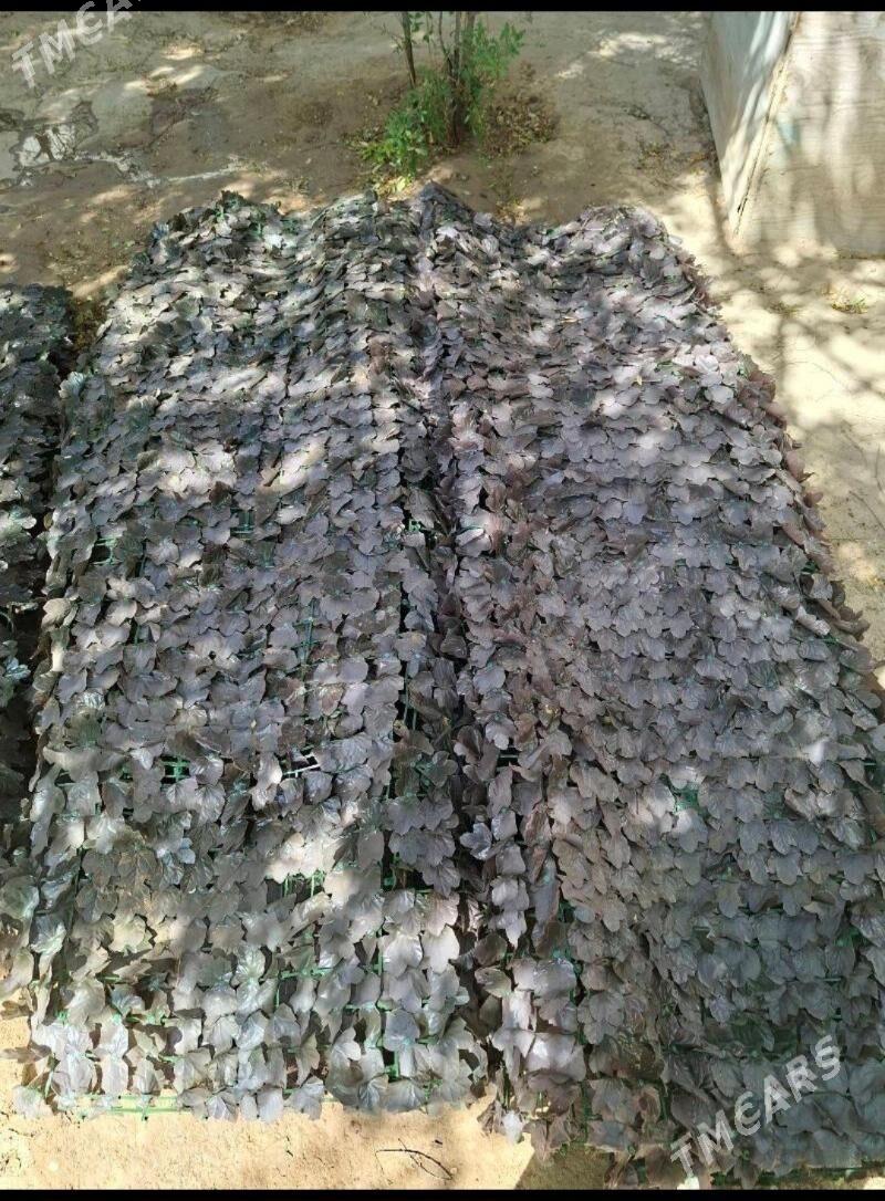 emeli yaprak - 30 мкр - img 1