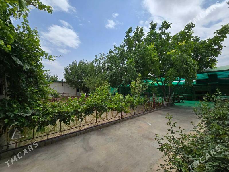 Bagyr Dasgala - Багир - img 1