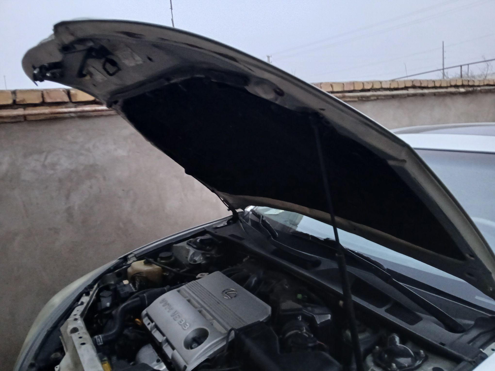 lexus 330 2003 Kapot 700 TMT - Daşoguz - img 1