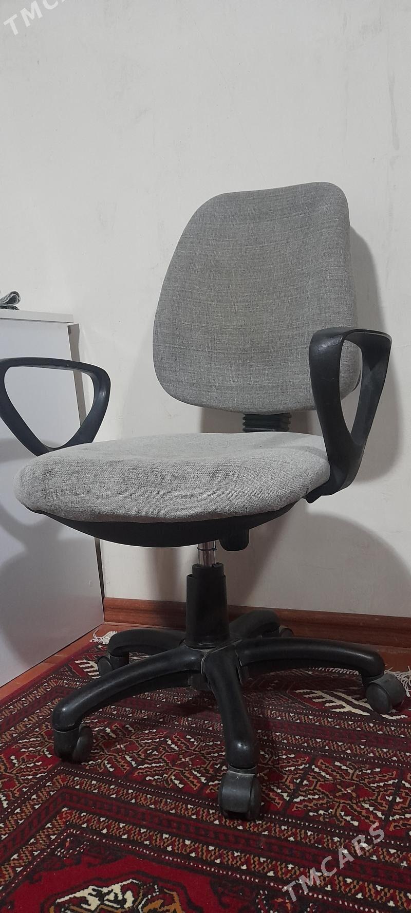 Kreslo oturgych - Daşoguz - img 1