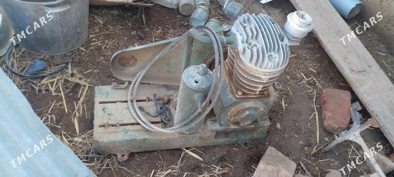 kapiresir - Tejen - img 1