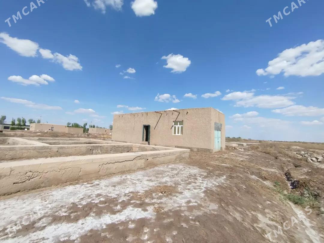 Satlyk jaÿ - Рухубелентский этрап - img 1