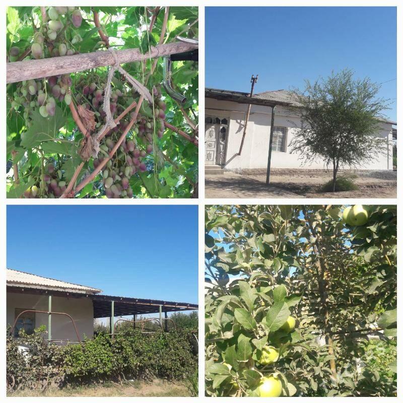 satlyk jaý - Şabat etr. - img 1