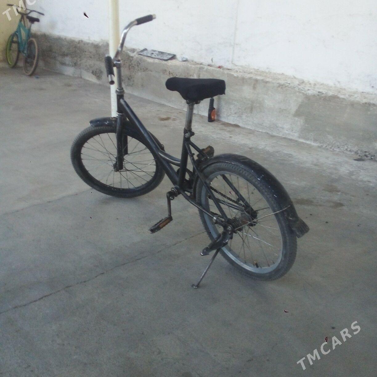 Tigir - Кипджак - img 1