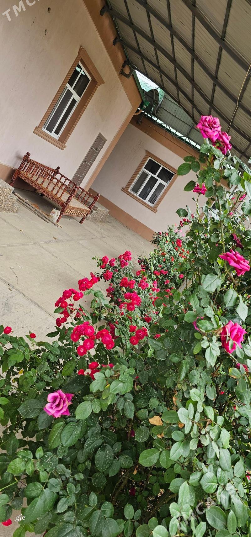 Gypjak PLAN JAY - Gypjak - img 1