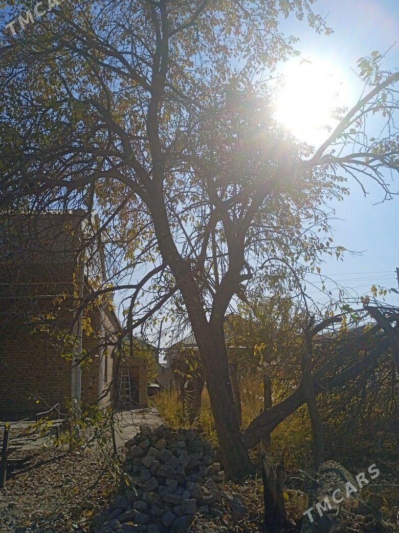 ODUN Kesyan - Мары - img 1