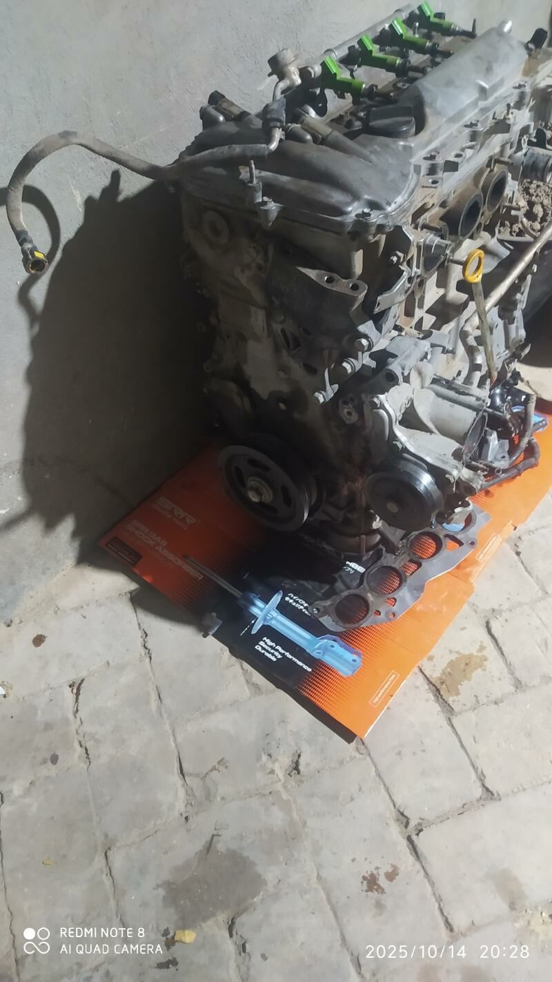 Motor öküz kelle 5 000 TMT - Байрамали - img 1