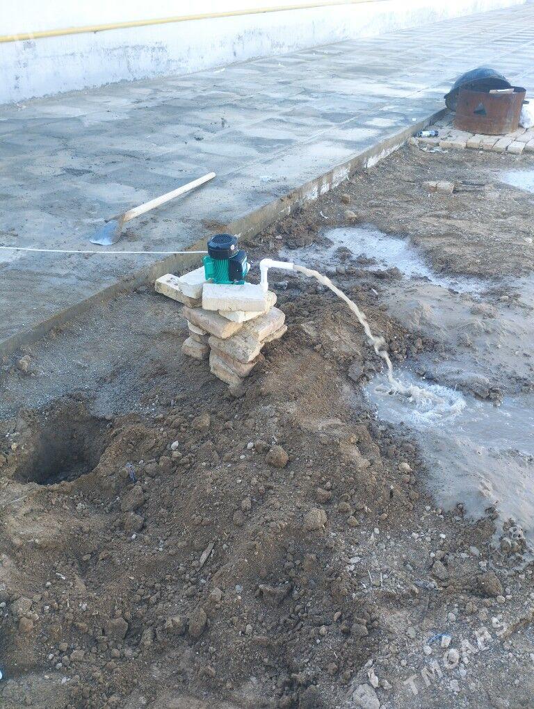 guyy gazyarys - Mary - img 1