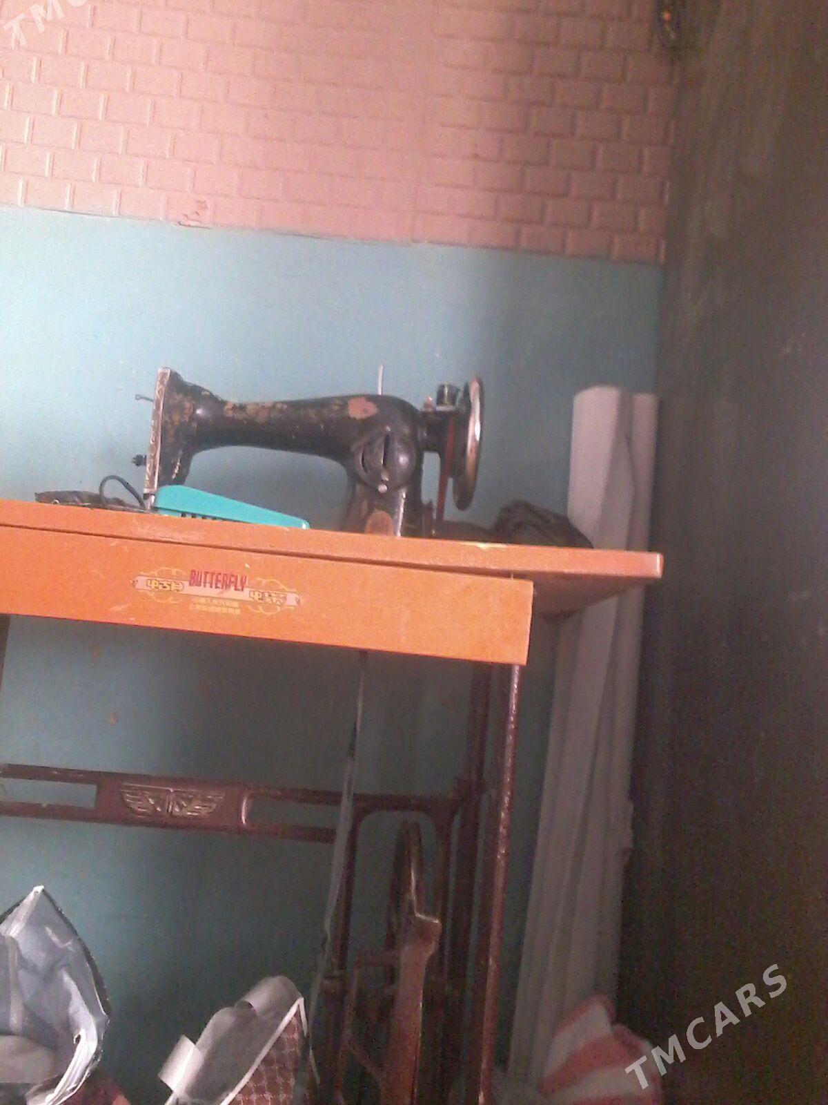 gara kelle tikin mas - Sakarçäge - img 1