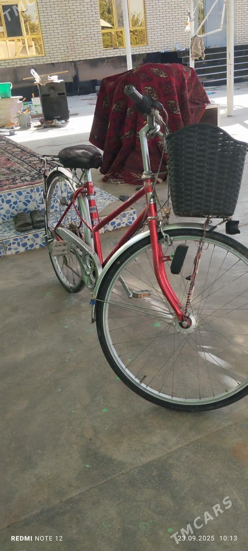 weloseped - Сакарчага - img 1