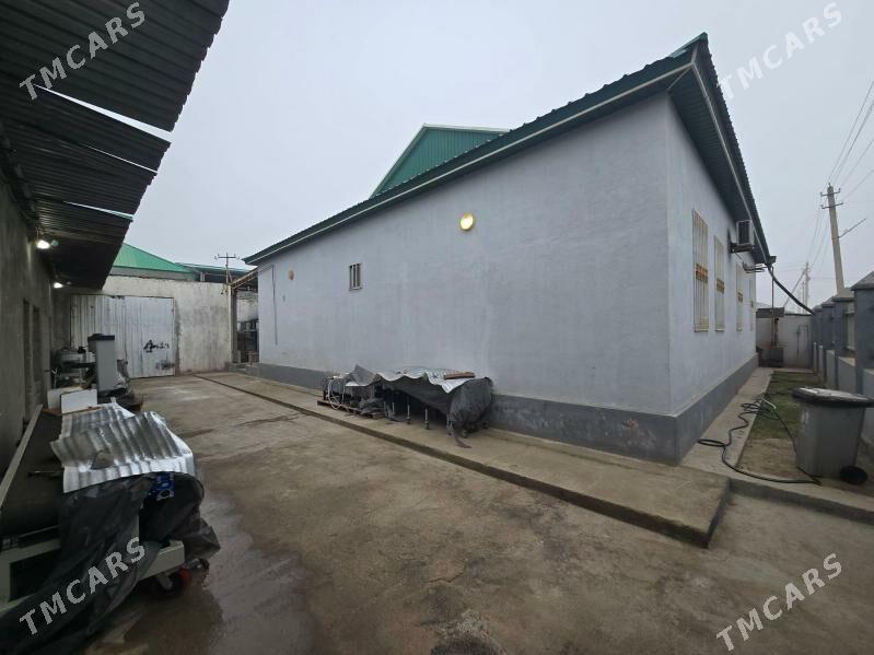 MAGTYMGULY 8SOTOK - Änew - img 1